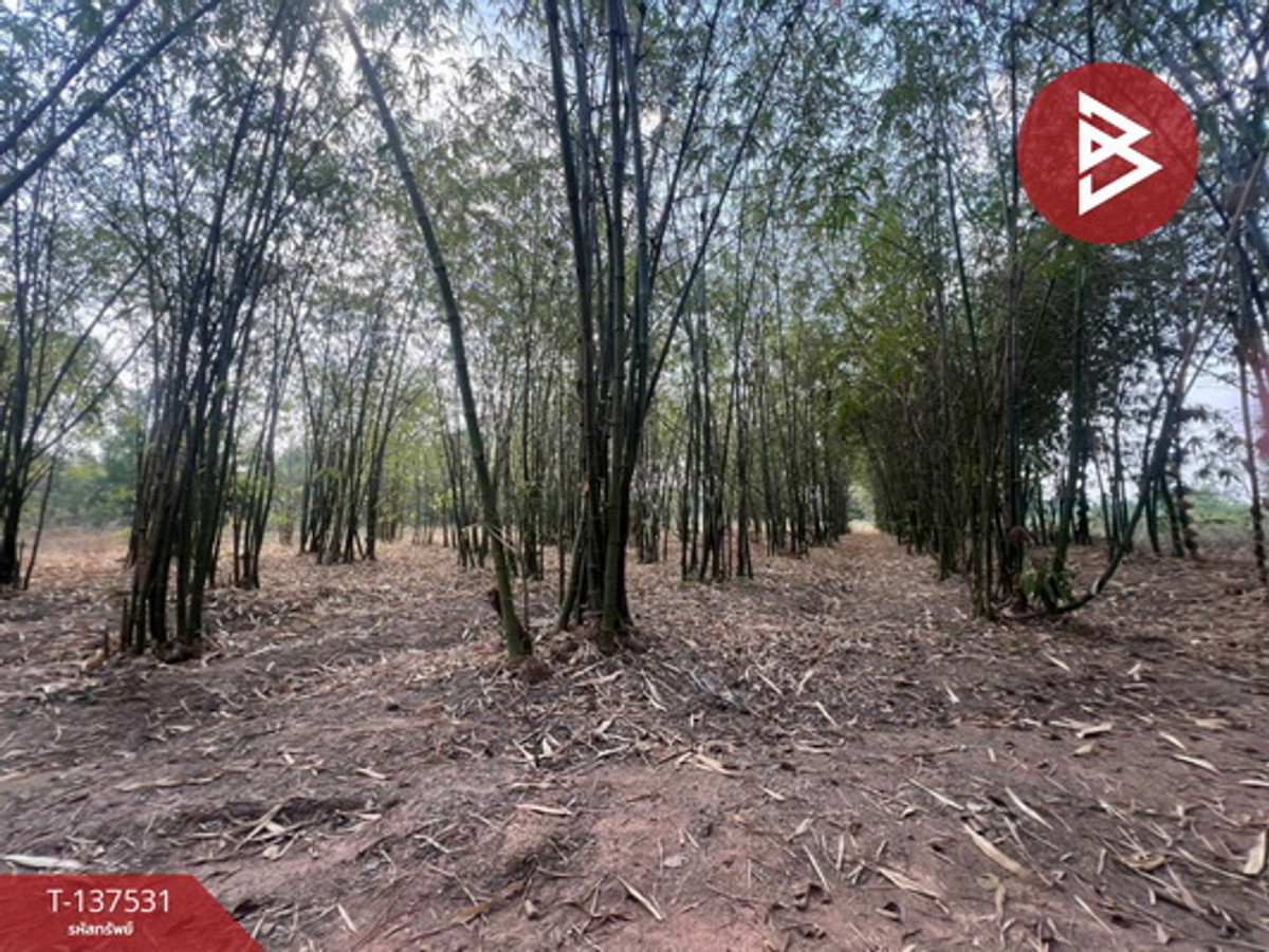 For SaleLandKhon Kaen : Land for sale, area 7 rai, Ban Wa, Khon Kaen