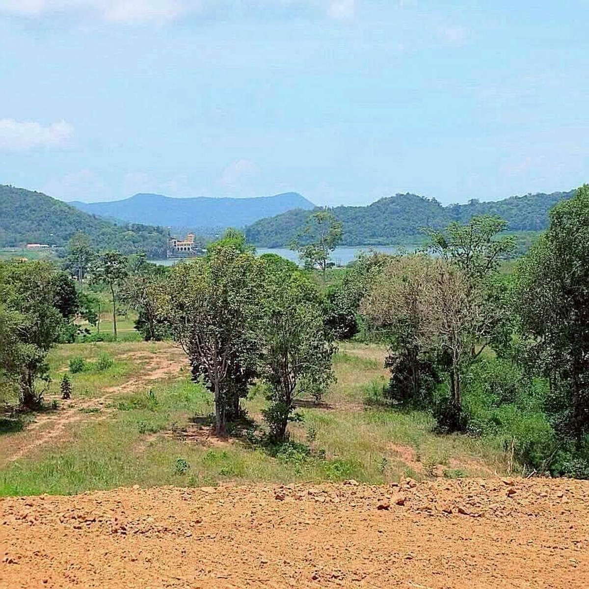 ขายที่ดินพัทยา บางแสน ชลบุรี สัตหีบ : ขายที่ดินสวย พัทยา บางละมุง ชลบุรี