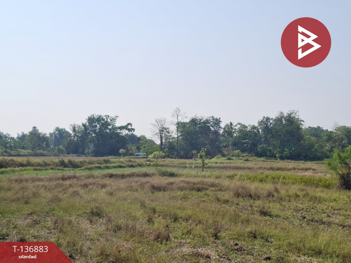 ขายที่ดินโคราช นครราชสีมา :  ขายที่ดิน เนื้อที่ 4 ไร่ อ.คง นครราชสีมา