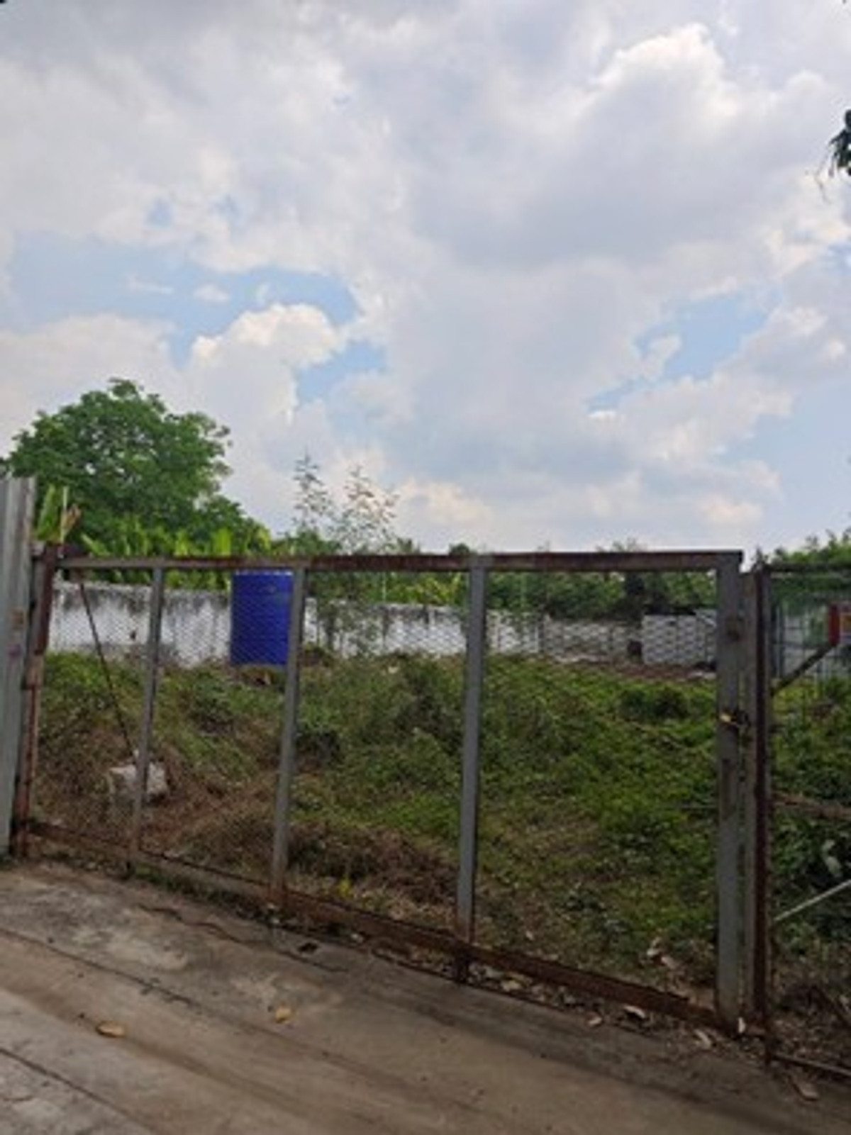 ให้เช่าที่ดินนนทบุรี บางใหญ่ บางบัวทอง : ให้เช่าที่ดิน พร้อมที่พักคนงาน เนื้อที่ 150 ตรว ซอยไทรม้า  รัตนาธิเบศร์ ราชพฤกษ์