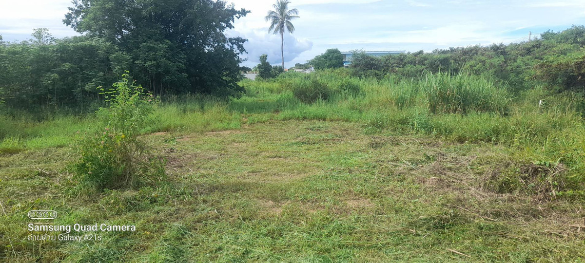 ขายที่ดินหัวหิน ประจวบคีรีขันธ์ : ลดแรงแปลงละ 4.5 แสน!! ที่ดินทำเลทอง อ.ปราณบุรี จ.ประจวบคีรีขันธ์ ใกล้ทะเล ห้าง ถนนเพชรเกษม