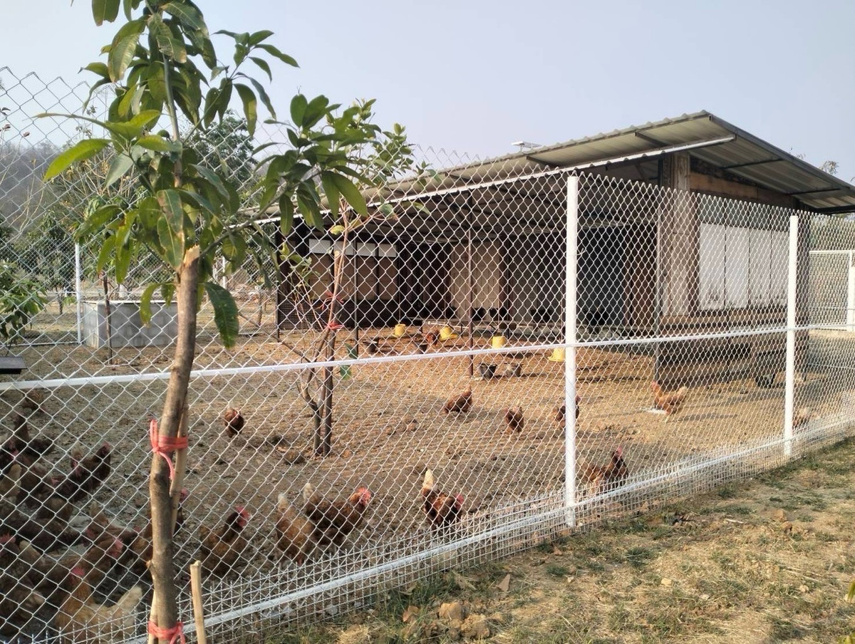 ขายที่ดินสระบุรี : ขายที่ดิน 10ไร่พร้อมบ้านเดี่ยว/รีสอร์ท วิวภูเขา เหมาะทำโรงแรม รีสอร์ท โฮมสเตย์ พูลวิลล่า Air bnb การเกษตร อยู่อาศัย วังม่วง สระบุรี แต่งสวยจัด น่าลงทุนมาก ขายถูก