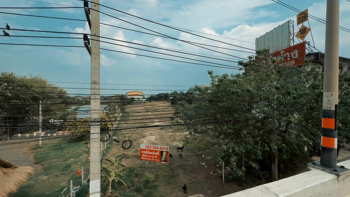 ขายที่ดินโคราช นครราชสีมา : ขายที่ดินติดสะพานหัวเล แปลงใหญ่ ติดถนนราชสีมา-โชคชัย เหมาะสำหรับนักลงทุน✨