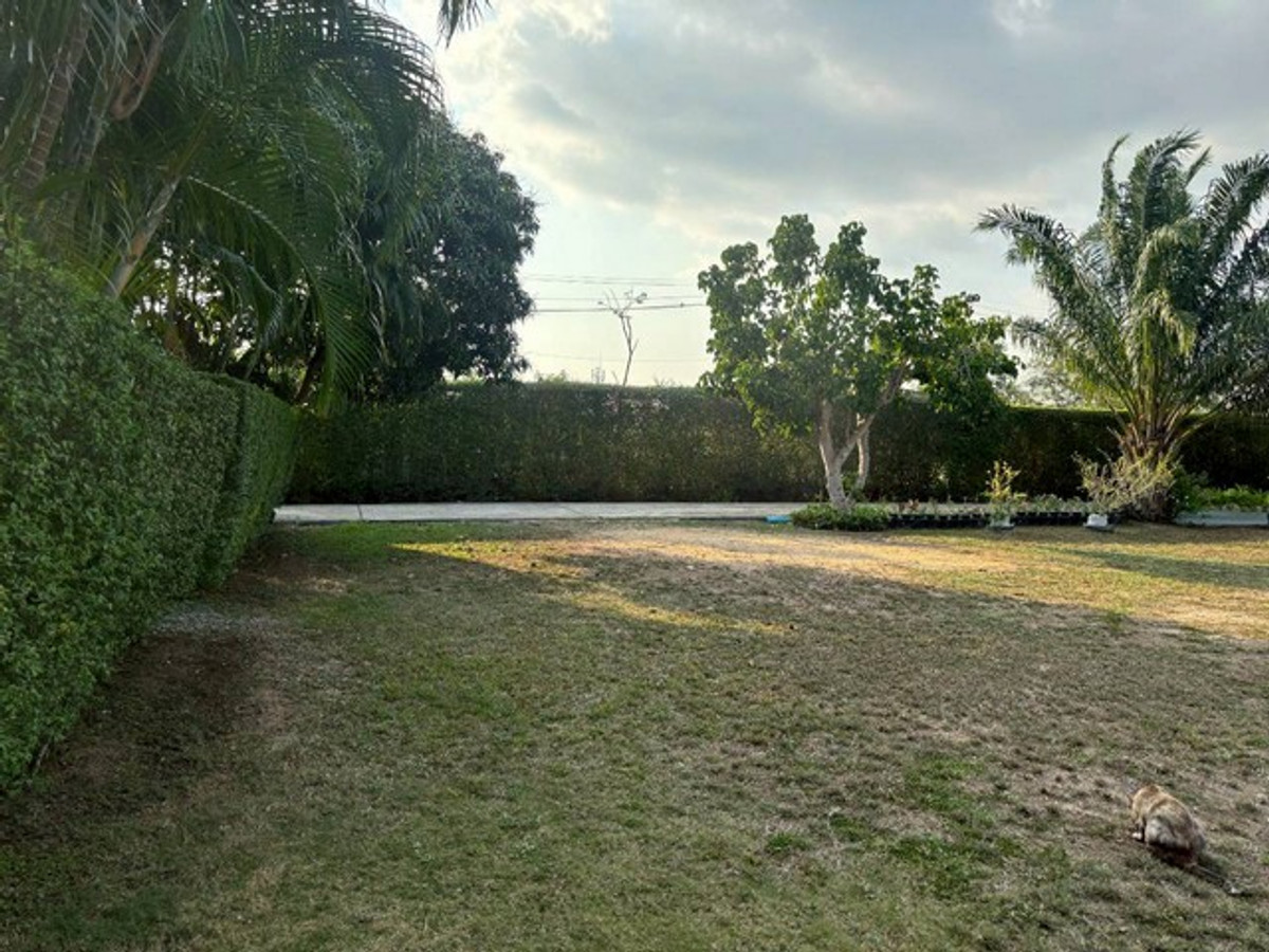 ขายบ้านพัทยา บางแสน ชลบุรี สัตหีบ : ขายบ้านเดี่ยว 2 ไร่ 94.5 ตรว. ใกล้อ่างเก็บน้ำมาบประชัน 5 นอน 6 น้ำ มีบ้านพักรีสอร์ท 3 หลัง และห้องใต้ดินสุดหรู ใกล้สนามกอล์ฟและรร.นานาชาติ 