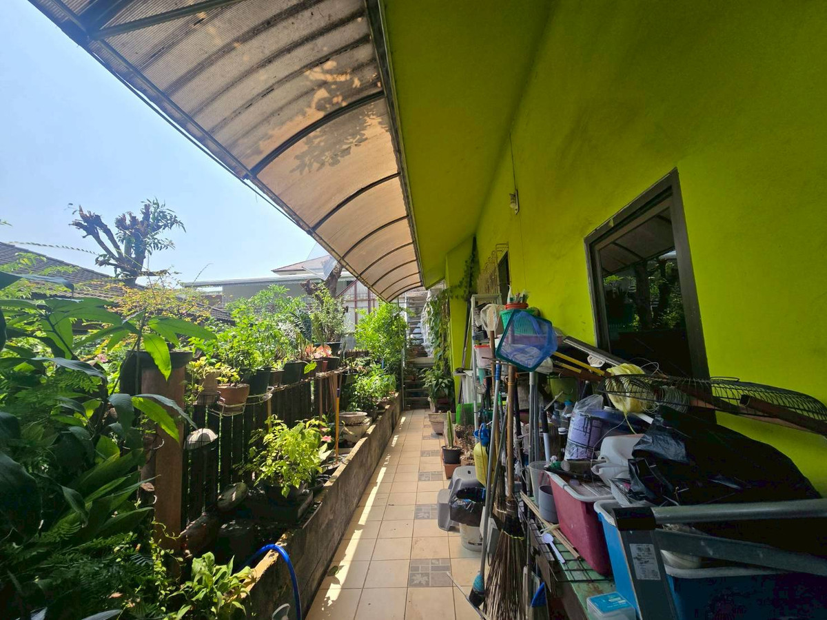 For SaleHouseOnnut, Udomsuk : Single house for sale, Sukhumvit 101, shady, suitable for living, near BTS Bang Chak (N.2041)