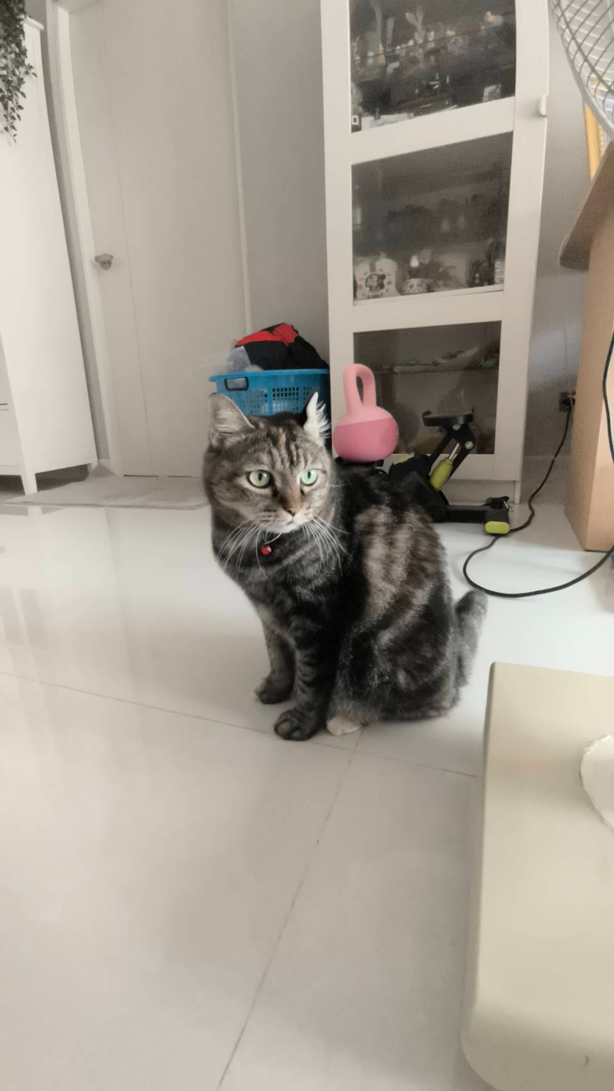 For SaleHouseRathburana, Suksawat : Single detached house, cheapest price, The City Suksawat