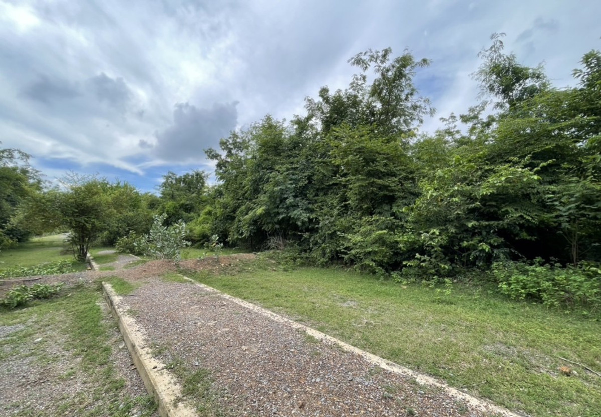 ขายที่ดินสระบุรี : ที่ดินเปล่า อ.แก่งคอย สระบุรี