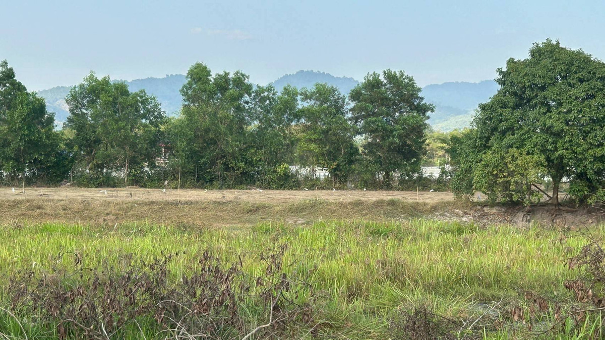 ขายที่ดินนครนายก : ขายที่ดินเปล่า ใกล้โรงเรียนเตรียมทหาร ตำบลศรีกะอาง อำเภอบ้านนา จังหวัดนครนายก เนื้อที่รวม 5 ไร่ 1 งาน ราคา 10,000,000 บาท