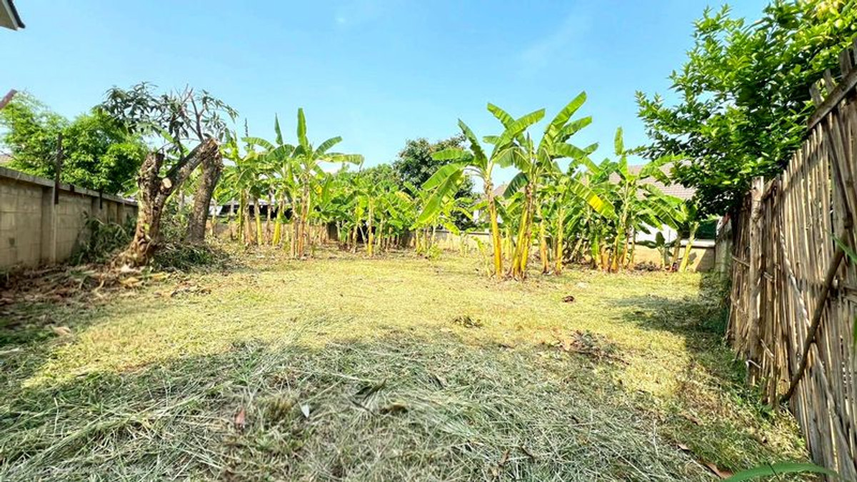 ขายที่ดินเชียงใหม่ : ขายที่ดิน 117 ตารางวา อยู่ใน หมู่บ้าน ธนโชค ม.2 ตำบลหนองผึ้ง อำเภอสารภี จังหวัดเชียงใหม่