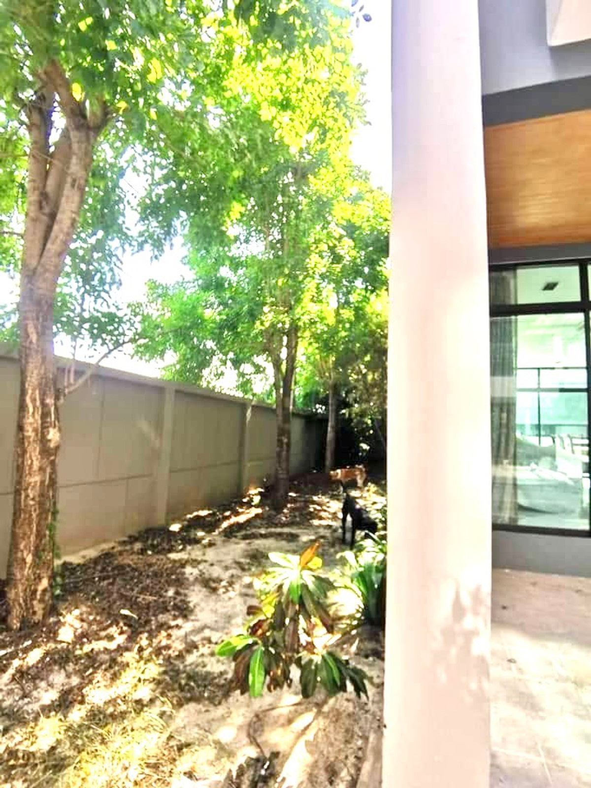 ให้เช่าโฮมออฟฟิศบางนา แบริ่ง ลาซาล : ให้เช่า Home office Bearing   อาคาร 4 ชั้น พื้นที่กว้าง 285 ตร.ม เฟอร์นิเจอร์ครบ มีที่จอดรถ  ทำเลดี เดินทางสะดวก  