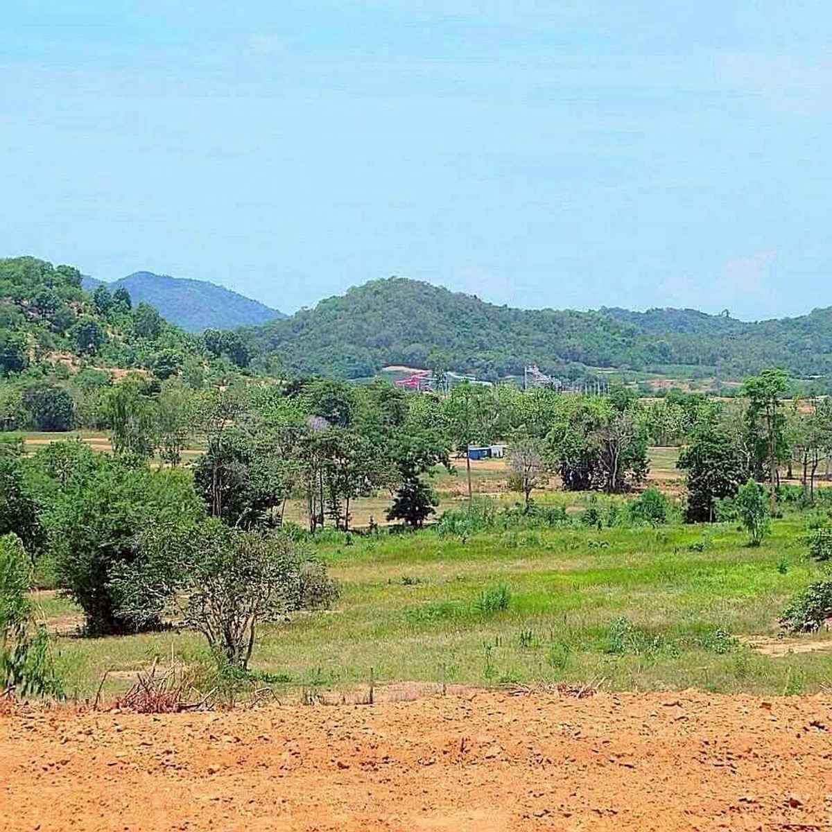 ขายที่ดินพัทยา บางแสน ชลบุรี สัตหีบ : ขายที่ดินสวย พัทยา บางละมุง ชลบุรี