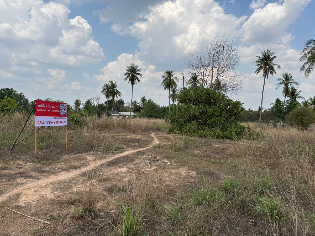 ขายที่ดินพัทยา บางแสน ชลบุรี สัตหีบ : ขาย!!! ที่ดิน 1 ไร่ 3 งาน 21 ตารางวา ซอยวัดเวฬุวนาราม (กอไผ่) ต.ตะเคียนเตี้ย อ.บางละมุง จ.ชลบุรี