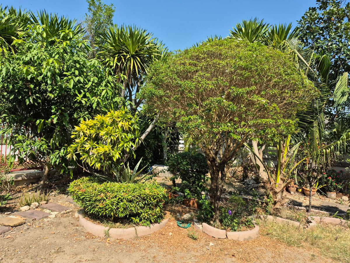 ขายบ้านนวมินทร์ รามอินทรา : บ้านเดี่ยวหรู กฤษดานคร 25 | 16 ล้าน 6 ห้องนอน | ใกล้รถไฟฟ้าวงแหวนรามอินทรา  | บ้านมงคล ฮวงจุ้ยดี  “ครบทั้งทำเล + พลังดี”