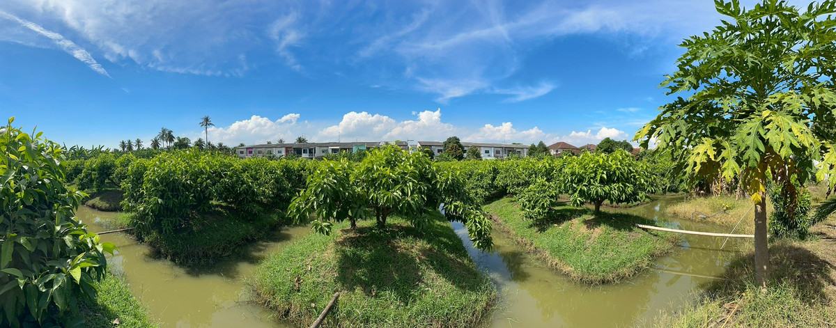 For SaleLandBang kae, Phetkasem : Empty land for sale, Soi Ruam Yat, area 8-0-72 rai, good location, convenient travel, access to water and electricity.