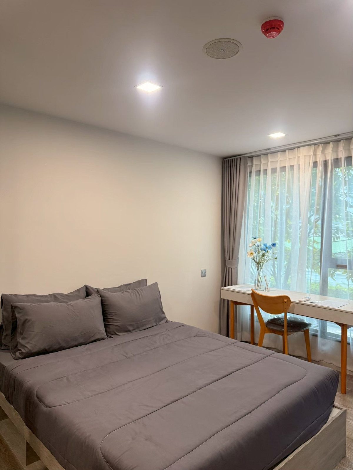 ขายคอนโดเกษตรศาสตร์ รัชโยธิน : 9B250369 - ขาย เคฟ ซี้ด เกษตร พหลโยธิน 34  ตึก C ชั้น 2 (Sell Kave Seed Kaset )