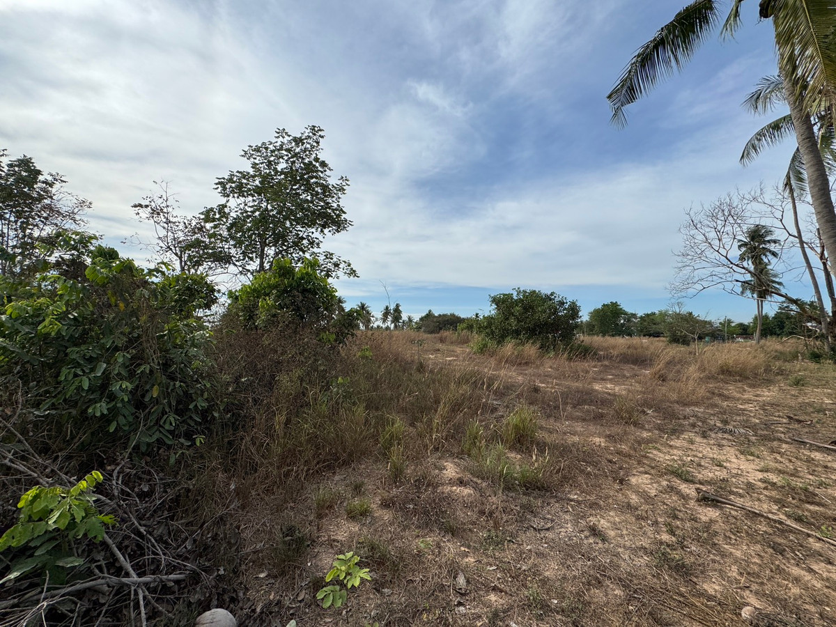 ขายที่ดินพัทยา บางแสน ชลบุรี สัตหีบ : ขาย!!! ที่ดิน 1 ไร่ 3 งาน 21 ตารางวา ซอยวัดเวฬุวนาราม (กอไผ่) ต.ตะเคียนเตี้ย อ.บางละมุง จ.ชลบุรี