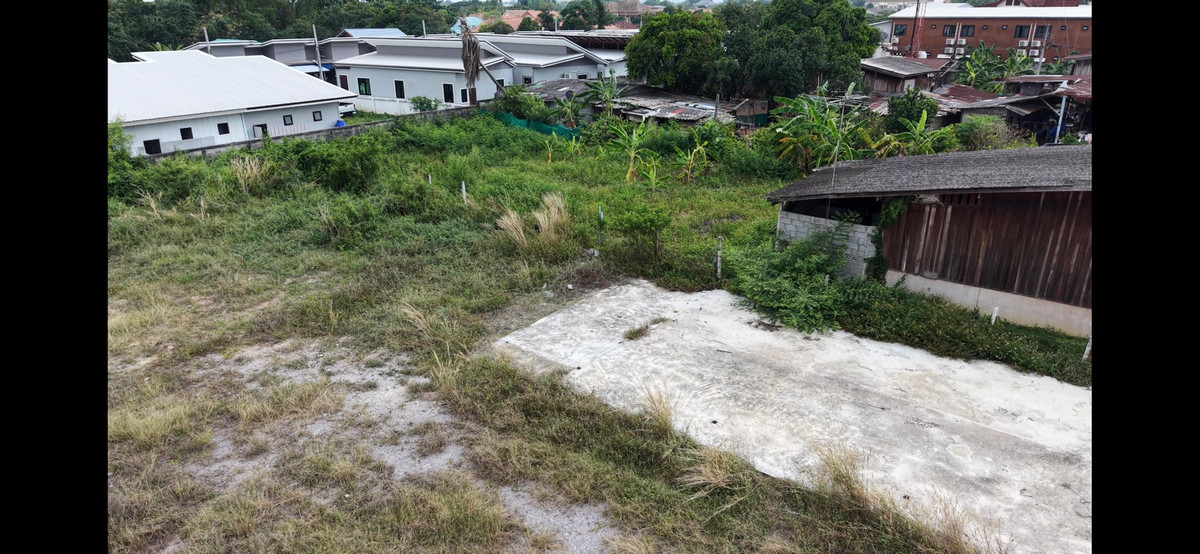 ขายที่ดินพัทยา บางแสน ชลบุรี สัตหีบ : ที่ดินสัตหีบ ซอย19 ห่างจากถนนสุขุมวิทเพียง 15 เมตร ทำเลดี ห่างจากพัทยา 20 นาที 