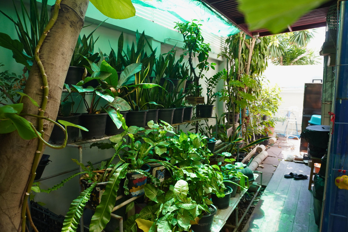 ขายบ้านสาทร นราธิวาส : ขายบ้าน 4 ชั้น โครงการธนาพัฒน์ เฮ้าส์ ซอยนนทรี 20  ทำเลศักยภาพ ใจกลางสาทร–พระราม 3 