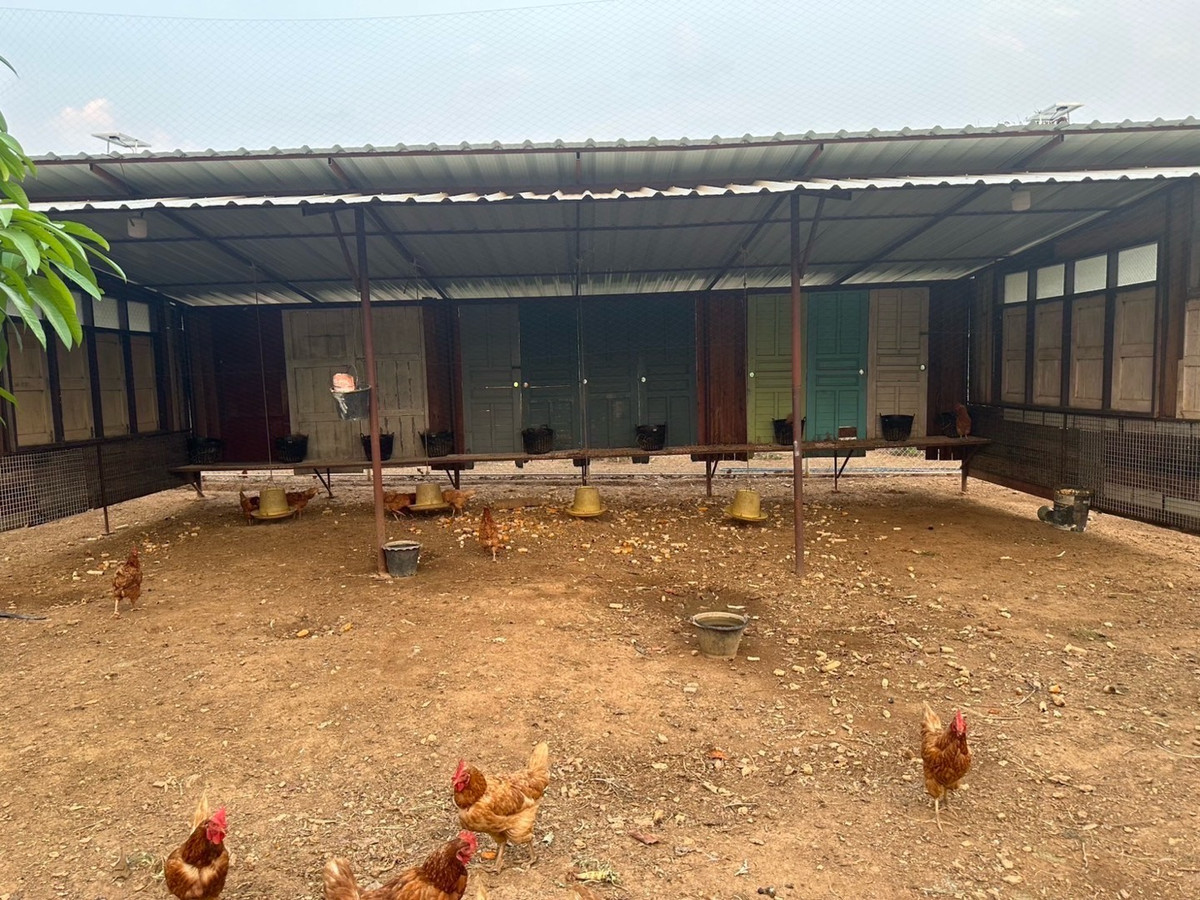 ขายที่ดินสระบุรี : ขายที่ดิน 10ไร่พร้อมบ้านเดี่ยว/รีสอร์ท วิวภูเขา เหมาะทำโรงแรม รีสอร์ท โฮมสเตย์ พูลวิลล่า Air bnb การเกษตร อยู่อาศัย วังม่วง สระบุรี แต่งสวยจัด น่าลงทุนมาก ขายถูก