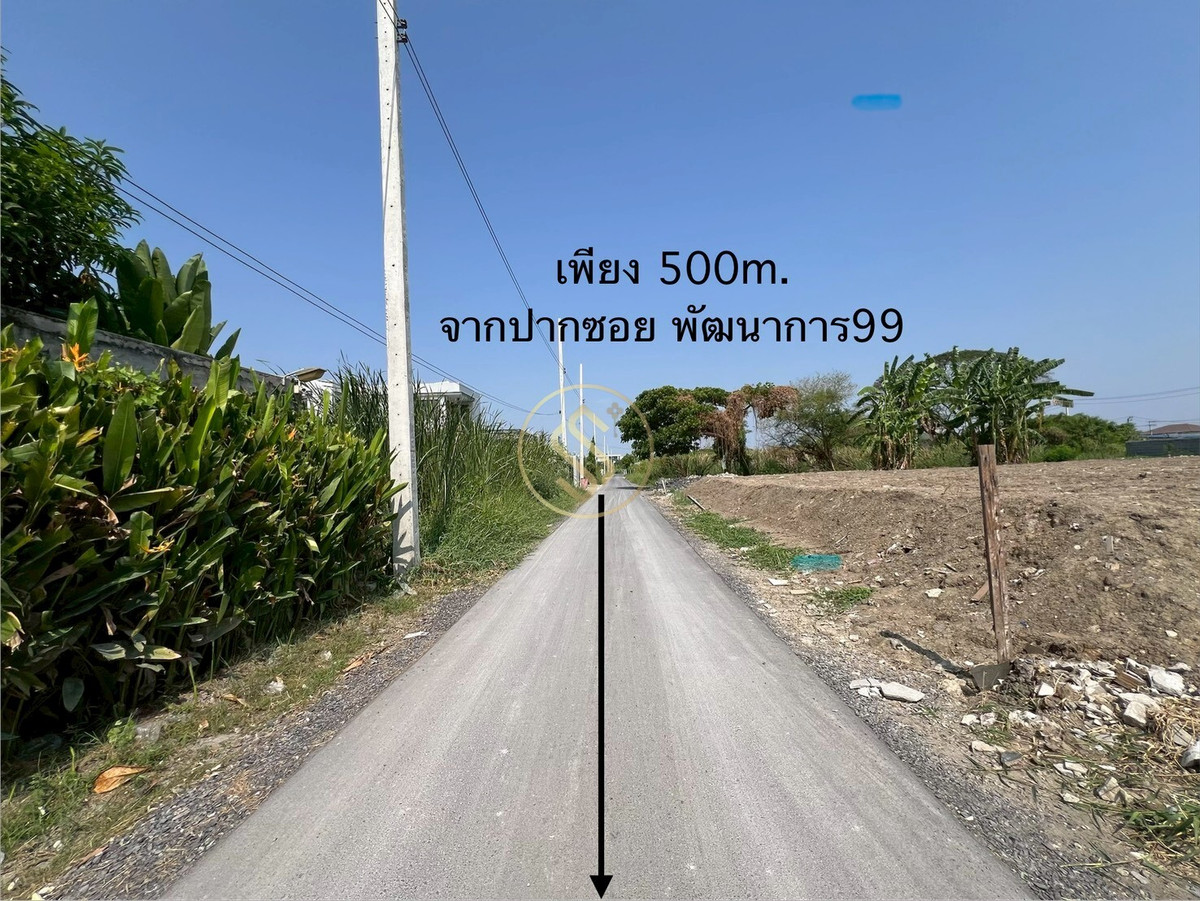 ขายที่ดินพัฒนาการ ศรีนครินทร์ : ขายด่วน! ที่ดินถมแล้วแปลงสวย ซอยพัฒนาการ 99 แขวงประเวศ หรือ อ่อนนุช 70/1 แยก2-8  ขนาด 380 ตารางวา เข้าซอยเพียง 500 เมตร 60,000 บาท/ตรว