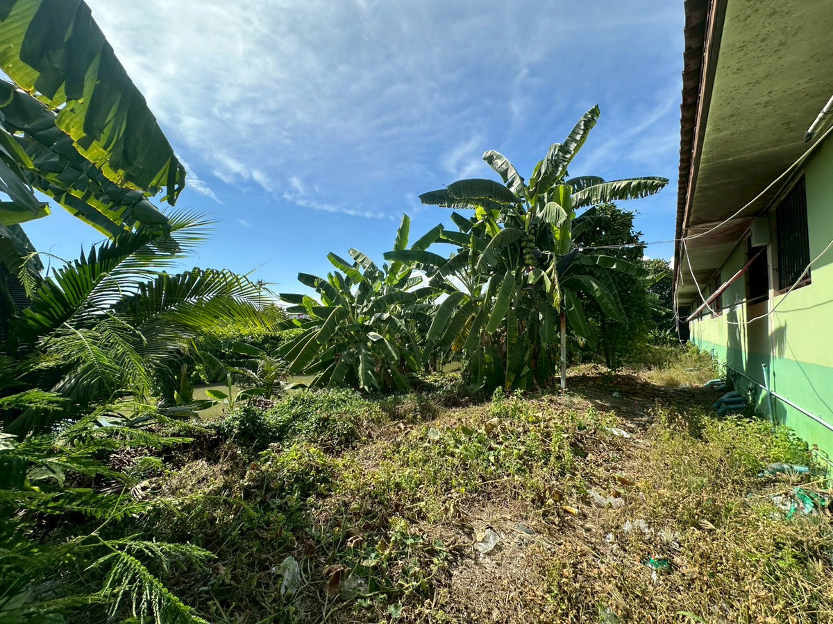 For SaleLandBang kae, Phetkasem : Empty land for sale, Soi Ruam Yat, area 8-0-72 rai, good location, convenient travel, access to water and electricity.