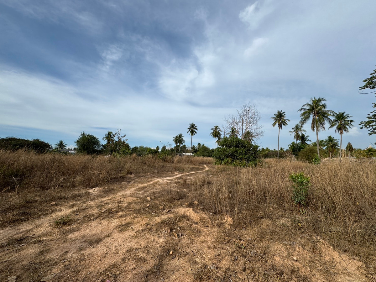 ขายที่ดินพัทยา บางแสน ชลบุรี สัตหีบ : ขาย!!! ที่ดิน 1 ไร่ 3 งาน 21 ตารางวา ซอยวัดเวฬุวนาราม (กอไผ่) ต.ตะเคียนเตี้ย อ.บางละมุง จ.ชลบุรี