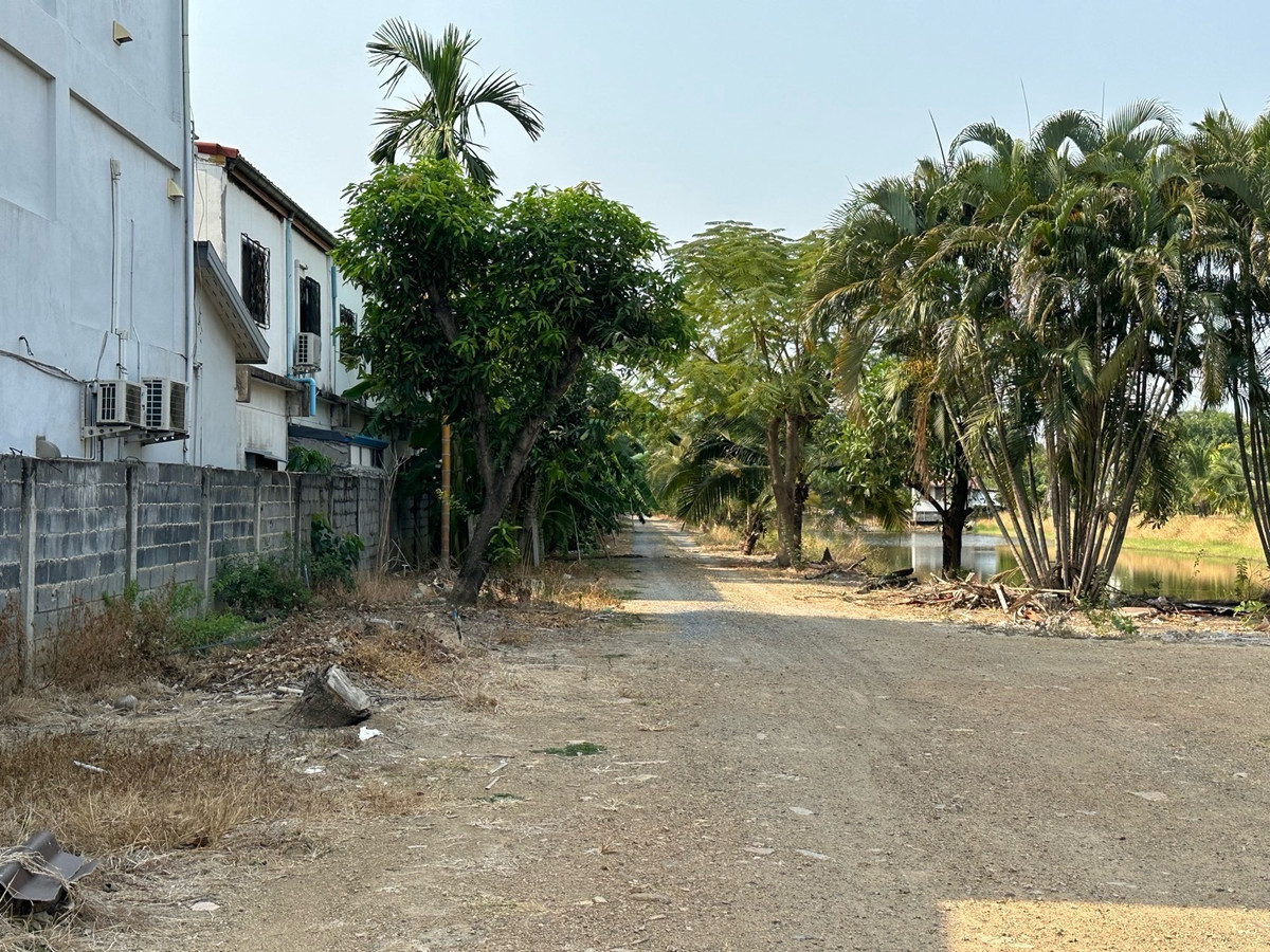 ให้เช่าที่ดินปทุมธานี รังสิต ธรรมศาสตร์ : ให้เช่าที่ดินติดถนน 6ไร่ ใกล้ถนนนิมิตรใหม่ ลำลูกกาคลอง 7 ปทุมธานี ที่ดินล้อมรั้วแล้ว