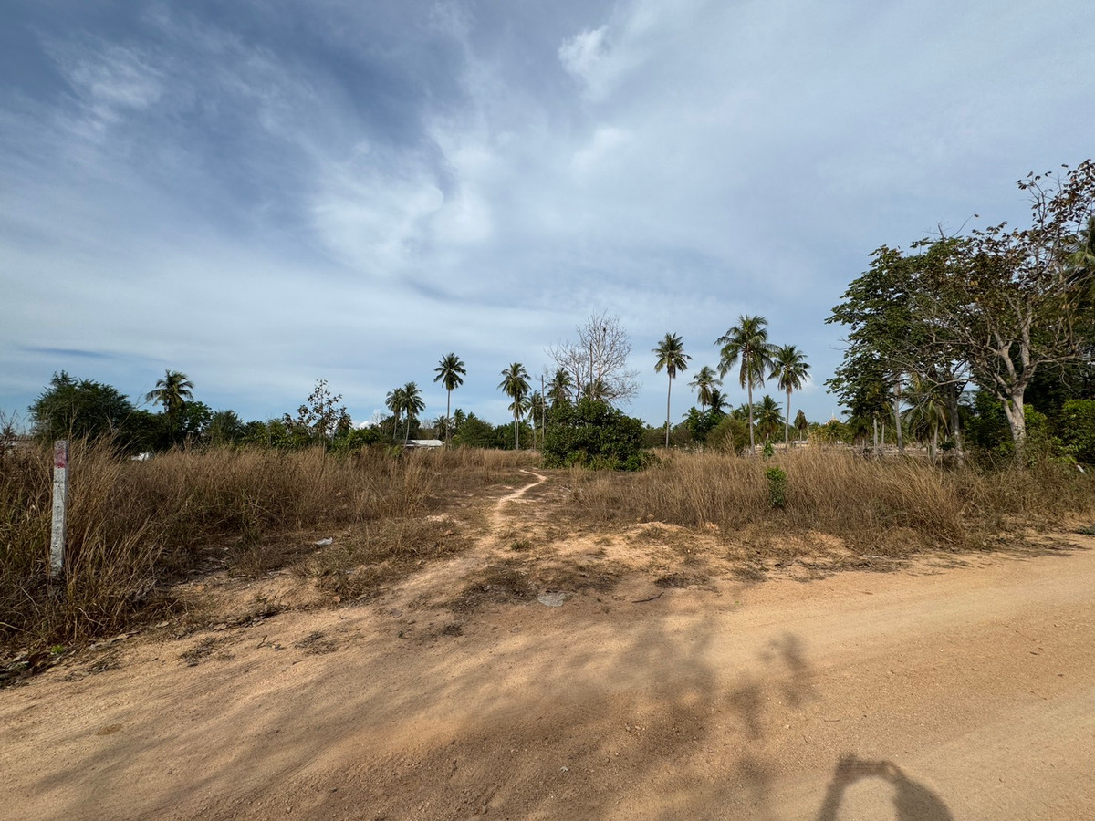 ขายที่ดินพัทยา บางแสน ชลบุรี สัตหีบ : ขาย!!! ที่ดิน 1 ไร่ 3 งาน 21 ตารางวา ซอยวัดเวฬุวนาราม (กอไผ่) ต.ตะเคียนเตี้ย อ.บางละมุง จ.ชลบุรี