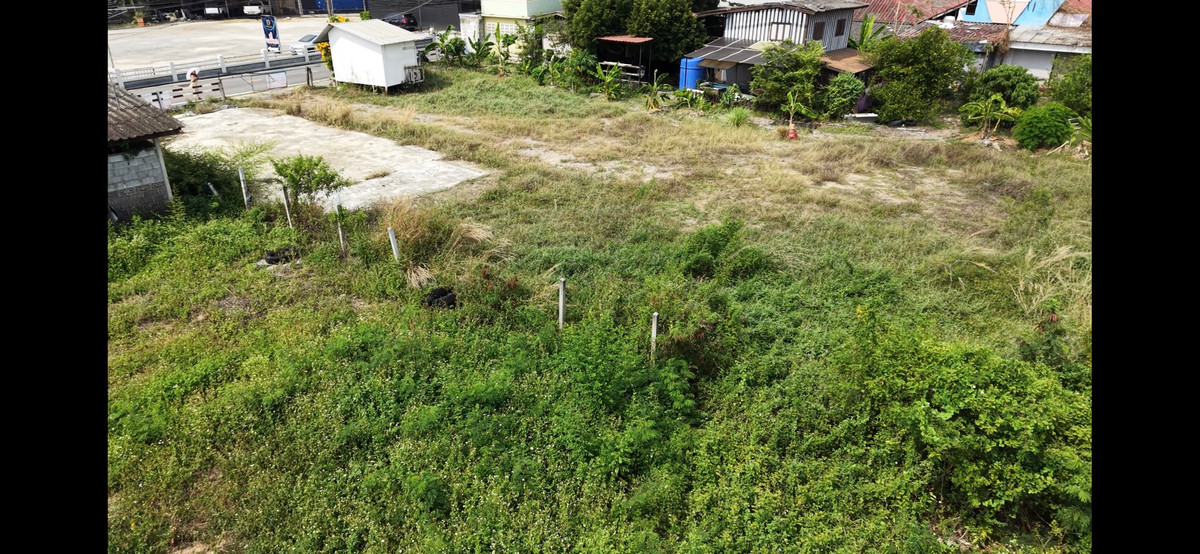 ขายที่ดินพัทยา บางแสน ชลบุรี สัตหีบ : ที่ดินสัตหีบ ซอย19 ห่างจากถนนสุขุมวิทเพียง 15 เมตร ทำเลดี ห่างจากพัทยา 20 นาที 