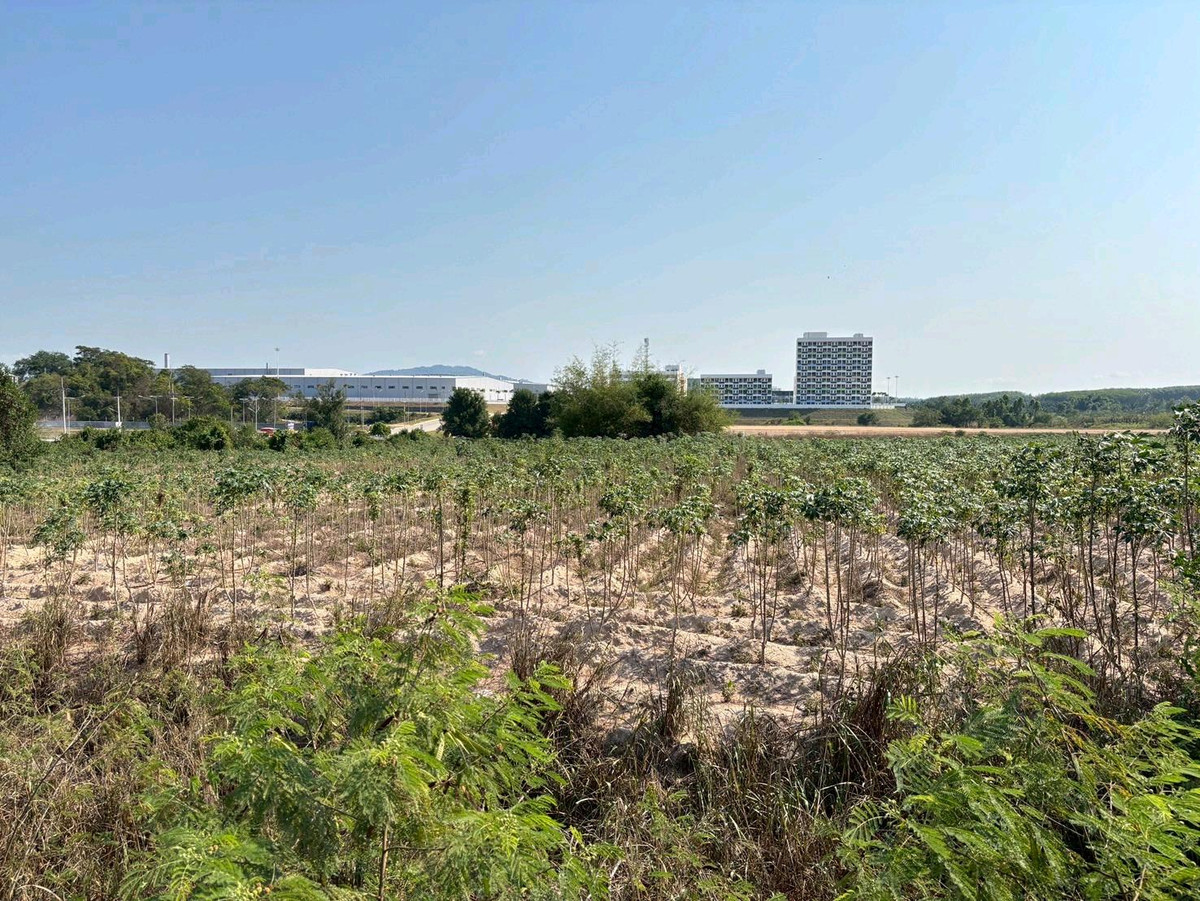 ขายที่ดินระยอง : ขายที่ดินระยอง 48 ไร่ ติดถนนสาย 15 หน้ากว้าง 480 เมตร เขตพื้นที่สีม่วงลายตาราง
