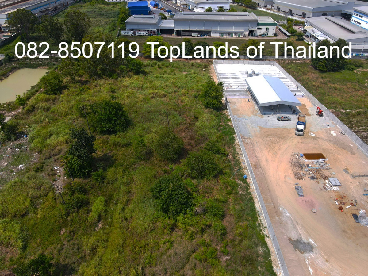 ขายที่ดินศรีราชา แหลมฉบัง บ้านบึง : ขาย ที่ดิน ศรีราชา แหลมฉบัง ผังสีม่วง (ใกล้ท่าเรือ และนิคมอุตสาหกรรม 2 แห่ง) เนื้อที่ 6 ไร่ ถนนกว้าง 8-12 m. เหมาะสร้าง โกดัง คลังสินค้า โรงงานอุตสาหกรรม