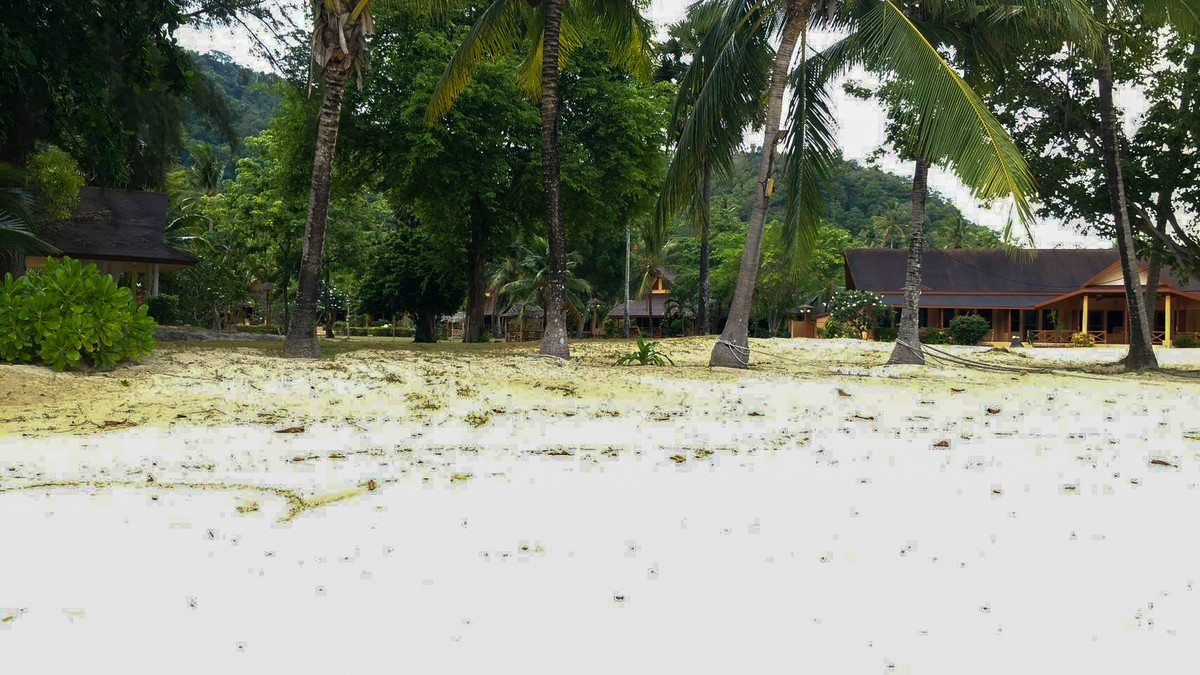 ขายที่ดินภูเก็ต : ขายที่ดิน ภูเก็ต เกาะโหลน 2 ไร่ 73 ตารางวา