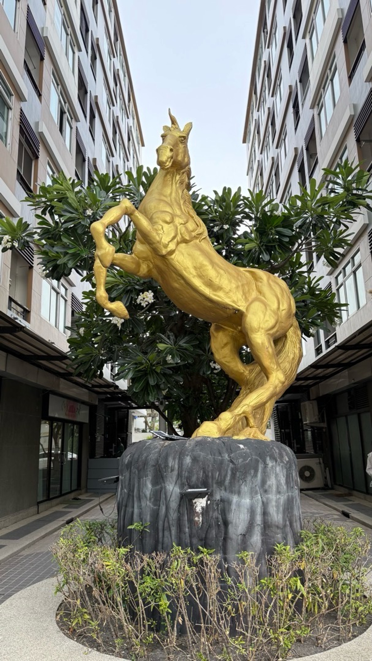 ให้เช่าคอนโดเลียบทางด่วนรามอินทรา : For rent JW. Sriwara 2 bed 2 bath 58 sqm 20,000 ให้เช่า 2 นอน 2 น้ำ 58 ตรม 20,000