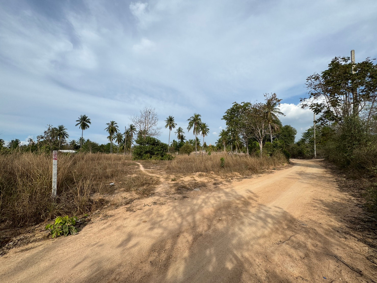 ขายที่ดินพัทยา บางแสน ชลบุรี สัตหีบ : ขาย!!! ที่ดิน 1 ไร่ 3 งาน 21 ตารางวา ซอยวัดเวฬุวนาราม (กอไผ่) ต.ตะเคียนเตี้ย อ.บางละมุง จ.ชลบุรี