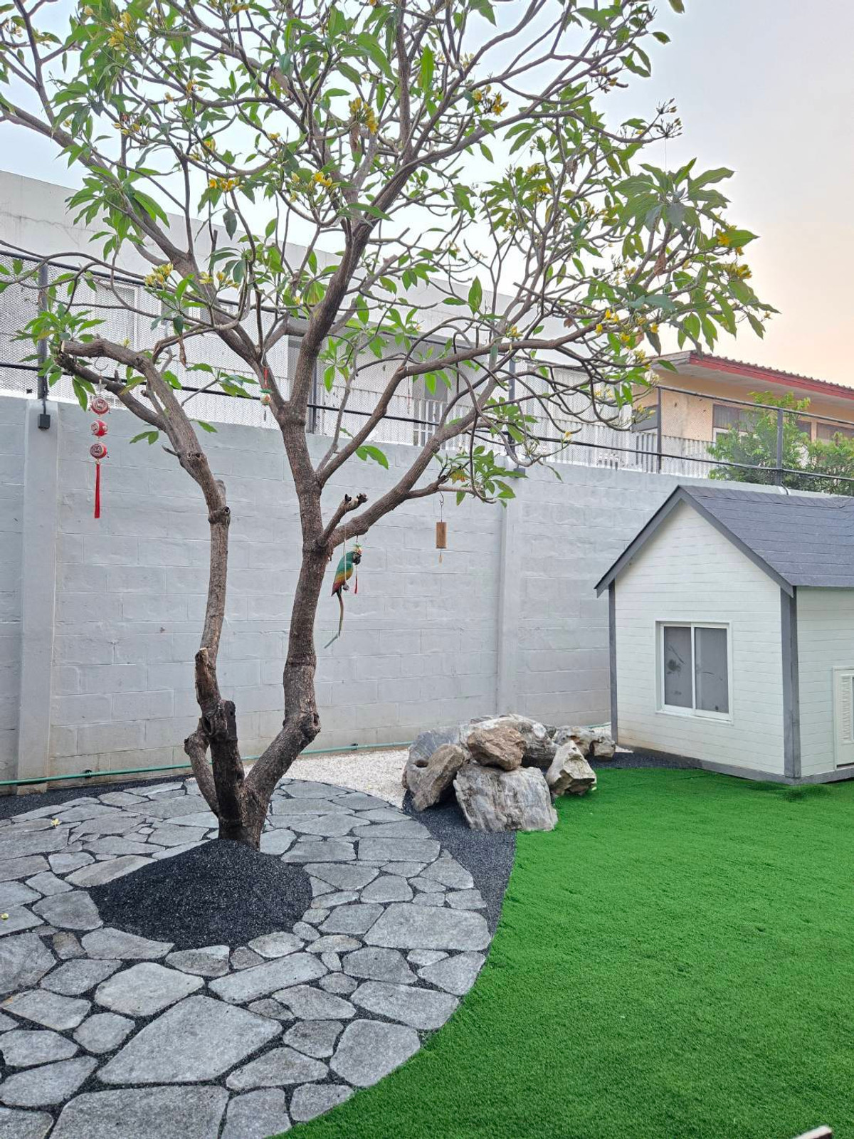 ให้เช่าบ้านโชคชัย4 ลาดพร้าว71 : บ้านเดี่ยว 2 ชั้น รีโนเวทใหม่ สไตล์โมเดิร์น ทำลเดี ให้เช่า ย่านลาดพร้าว-โชคชัย4 ใกล้โรงพยาบาลเปาโล โชคชัย 4 เพียง 2 กม.