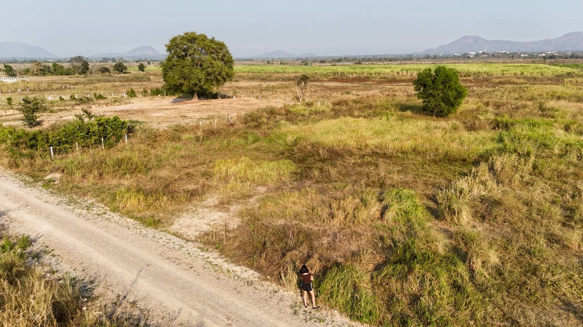 ขายที่ดินชะอำ เพชรบุรี : ขายที่ดิน 1 ไร่ ใน ต.ไร่ใหม่พัฒนา อ.ชะอำ จ.เพชรบุรี ราคา 950,000 บาท