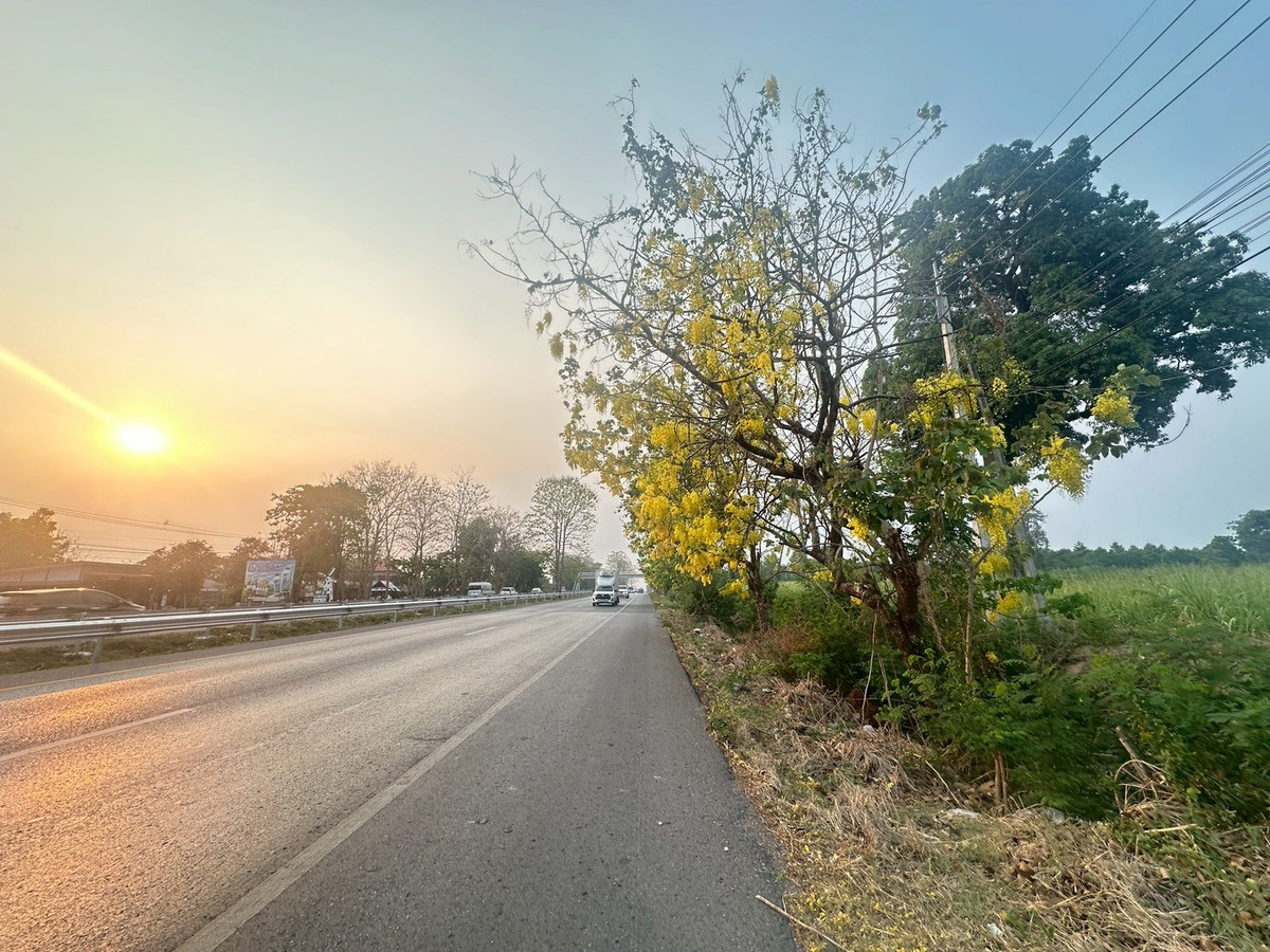 ขายที่ดินขอนแก่น : ขายที่ดิน ติดถนนมิตรภาพขอนแก่น