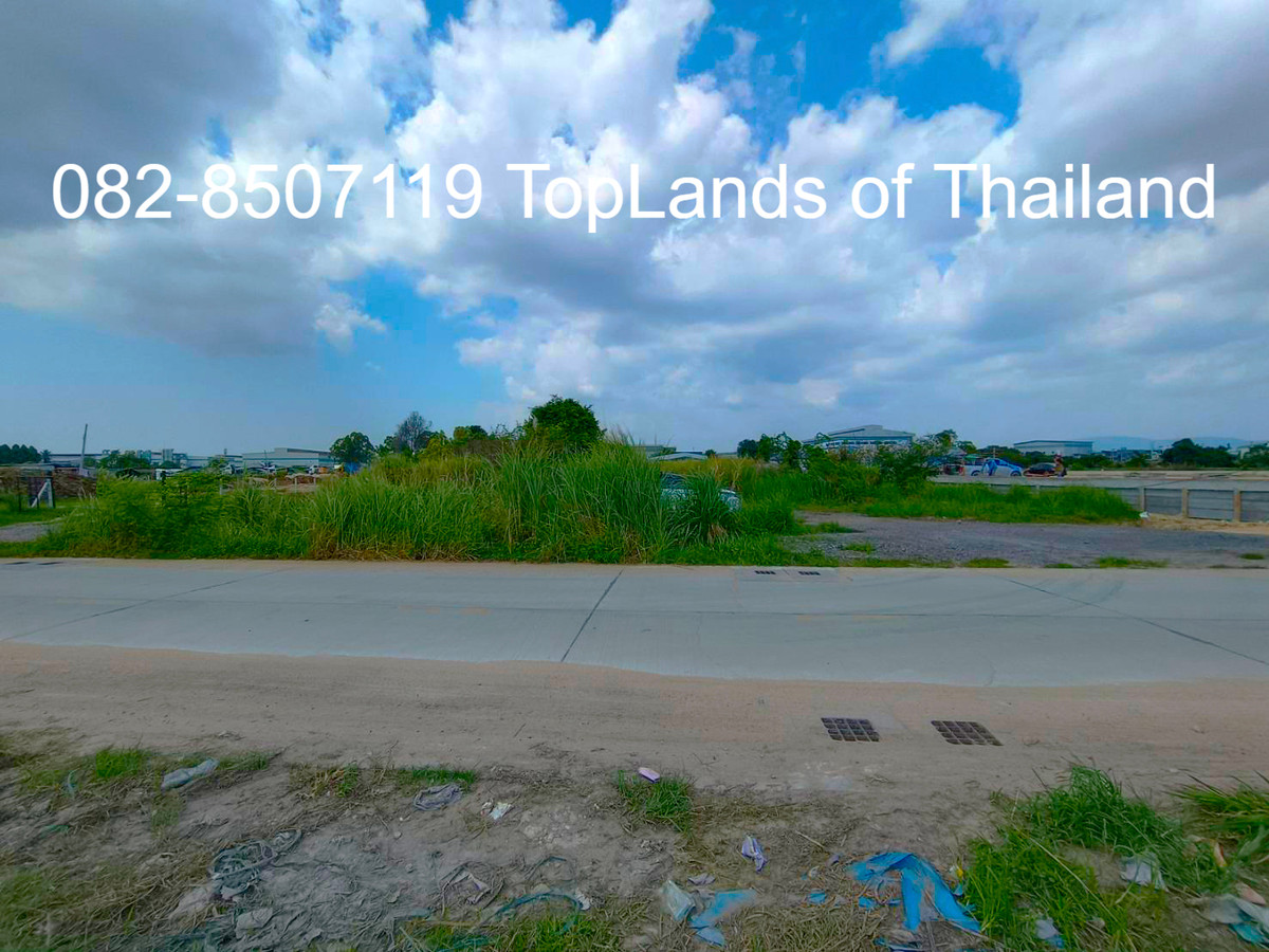 ขายที่ดินศรีราชา แหลมฉบัง บ้านบึง : ขาย ที่ดิน ศรีราชา แหลมฉบัง ผังสีม่วง (ใกล้ท่าเรือ และนิคมอุตสาหกรรม 2 แห่ง) เนื้อที่ 6 ไร่ ถนนกว้าง 8-12 m. เหมาะสร้าง โกดัง คลังสินค้า โรงงานอุตสาหกรรม