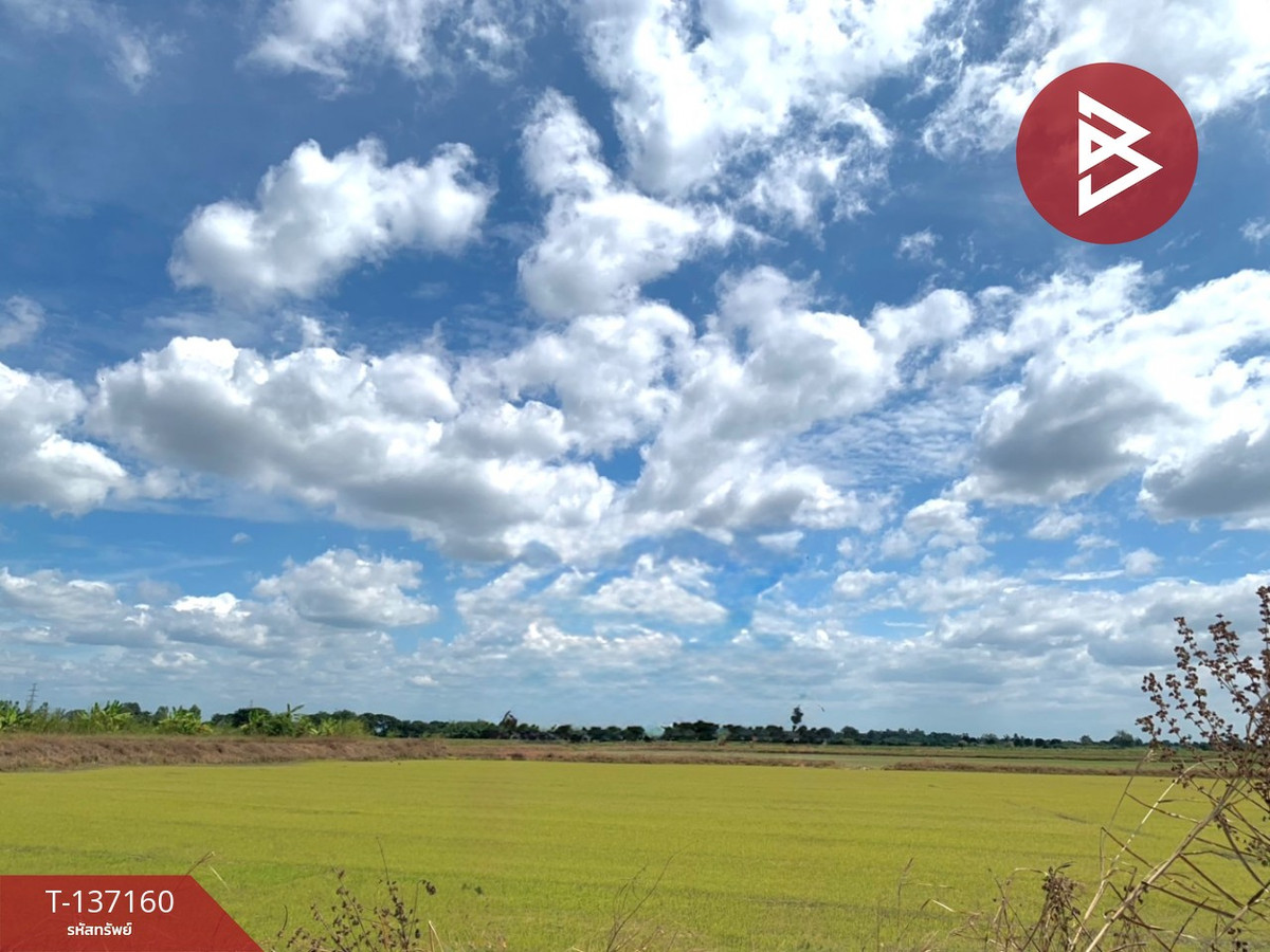 ขายที่ดินสิงห์บุรี :  ขายที่ดิน เนื้อที่ 6 ไร่ 1 งาน 78 ตร.วา พรหมบุรี สิงห์บุรี