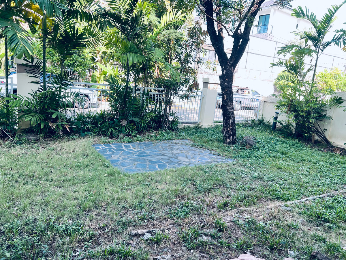 บ้านนวมินทร์ รามอินทรา : ขาย!!! 99 ตรว 17.9 & เช่า 100,000 บาท