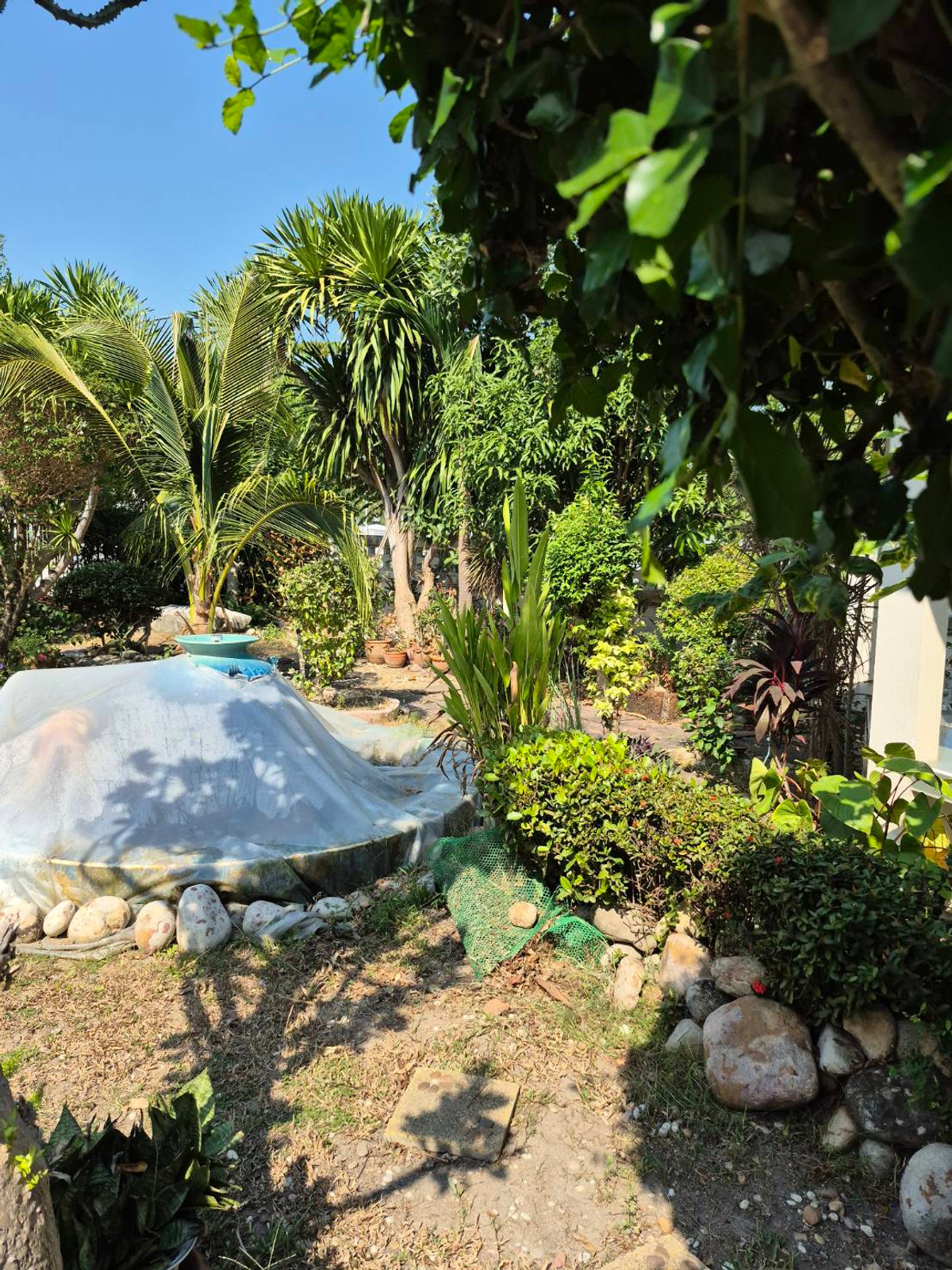 ขายบ้านนวมินทร์ รามอินทรา : บ้านเดี่ยวหรู กฤษดานคร 25 | 16 ล้าน 6 ห้องนอน | ใกล้รถไฟฟ้าวงแหวนรามอินทรา  | บ้านมงคล ฮวงจุ้ยดี  “ครบทั้งทำเล + พลังดี”