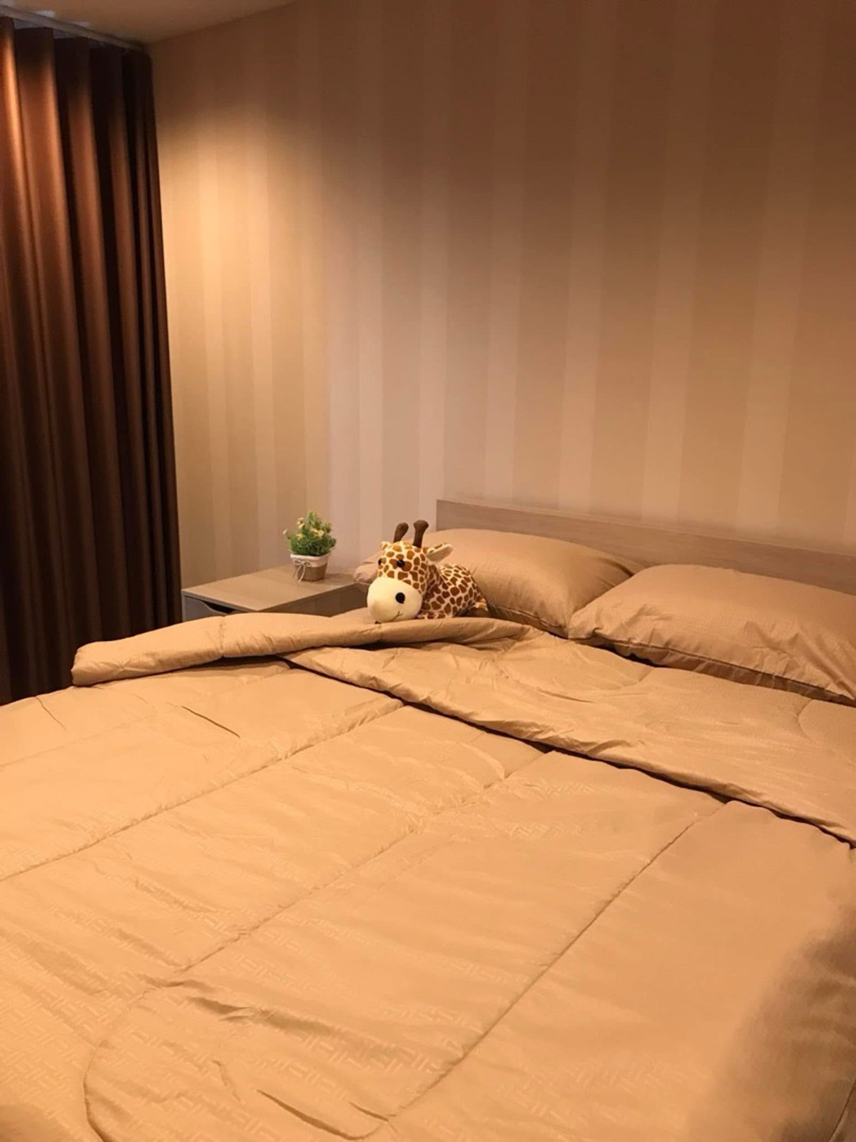 คอนโดลาดพร้าว เซ็นทรัลลาดพร้าว : #Z5134💥 060469 🔥ให้เช่าคอนโด THE LINE Phahonyothin Park