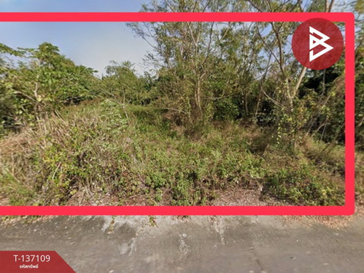 ขายที่ดินเชียงใหม่ : ขายที่ดินถมแล้ว เนื้อที่ 88 ตารางวา สันป่าตอง เชียงใหม่
