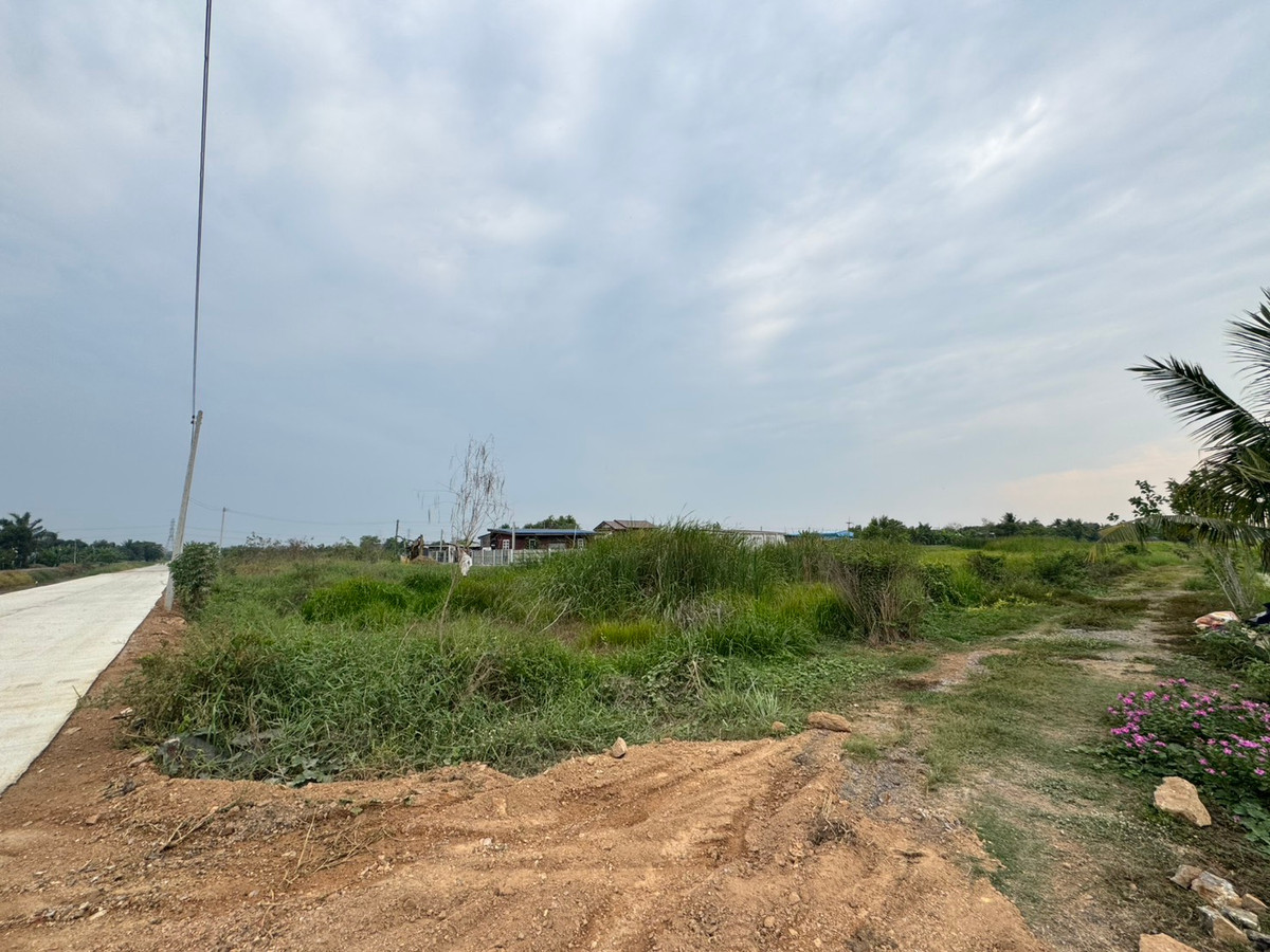 ขายที่ดินปทุมธานี รังสิต ธรรมศาสตร์ : ขายที่ดิน