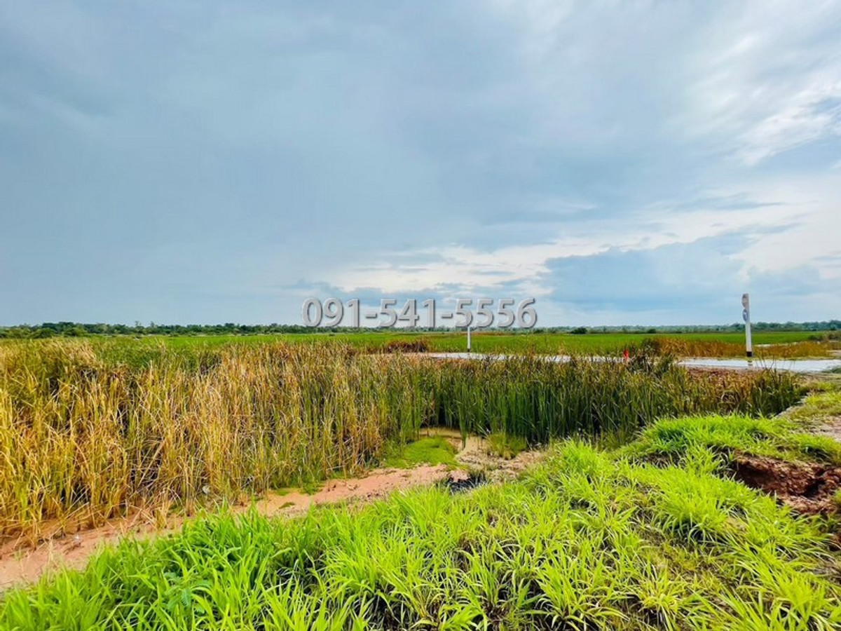 ขายที่ดินโคราช นครราชสีมา : ขายที่ดิน รูปแปลงที่ดินถุงเงินถุงทอง เนื้อที่ 9-2-67.7 ไร่ ถนนวงแหวนรอบเมือง 290 เหนือตอน 2 กำปัง โนนไทย นครราชสีมา