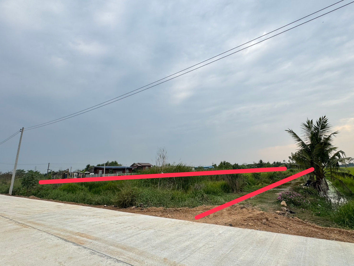 ขายที่ดินปทุมธานี รังสิต ธรรมศาสตร์ : ขายที่ดิน