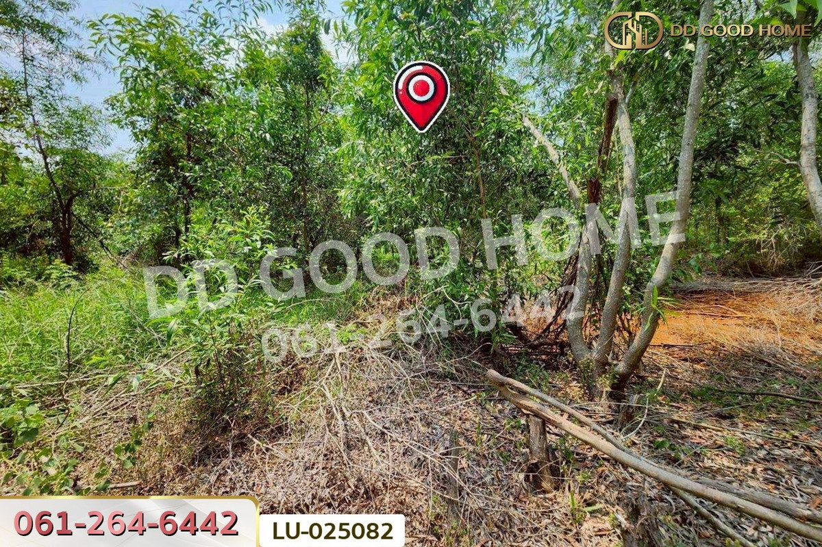 ขายที่ดินมีนบุรี-ร่มเกล้า : ที่ดินคลองสิบสอง 1 ไร่ 1 ตร.ว. หนองจอก ใกล้ศูนย์สุขภาพโรงพยาบาลเวชการุณย์รัศมิ์ LU-025082