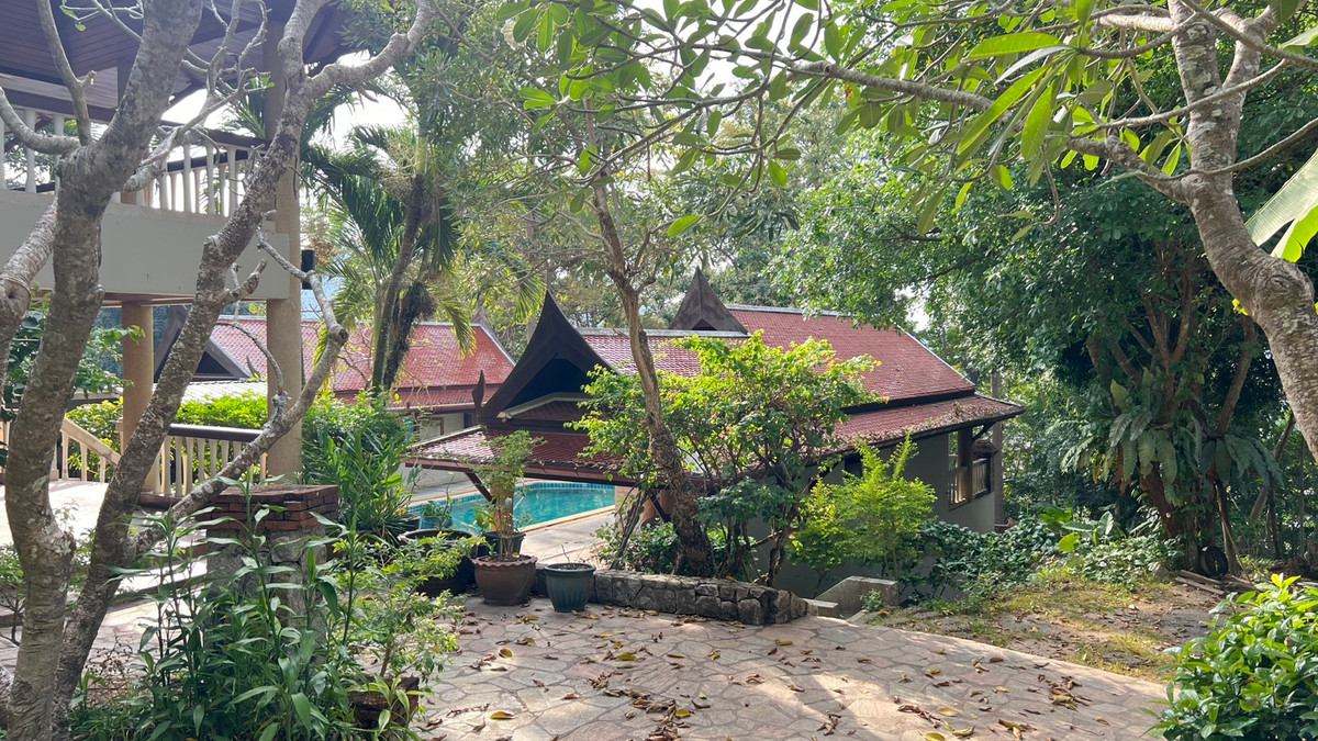 ขายบ้านภูเก็ต : ขายบ้านพร้อมที่ดินป่าตอง ที่ดิน 3 ไร่ 