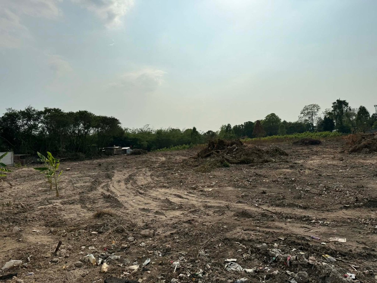 ขายที่ดินพัทยา บางแสน ชลบุรี สัตหีบ : ขายที่ดินในซอยบางละมุง 1 ห่างจากถนนสุขุมวิท 800 เมตร