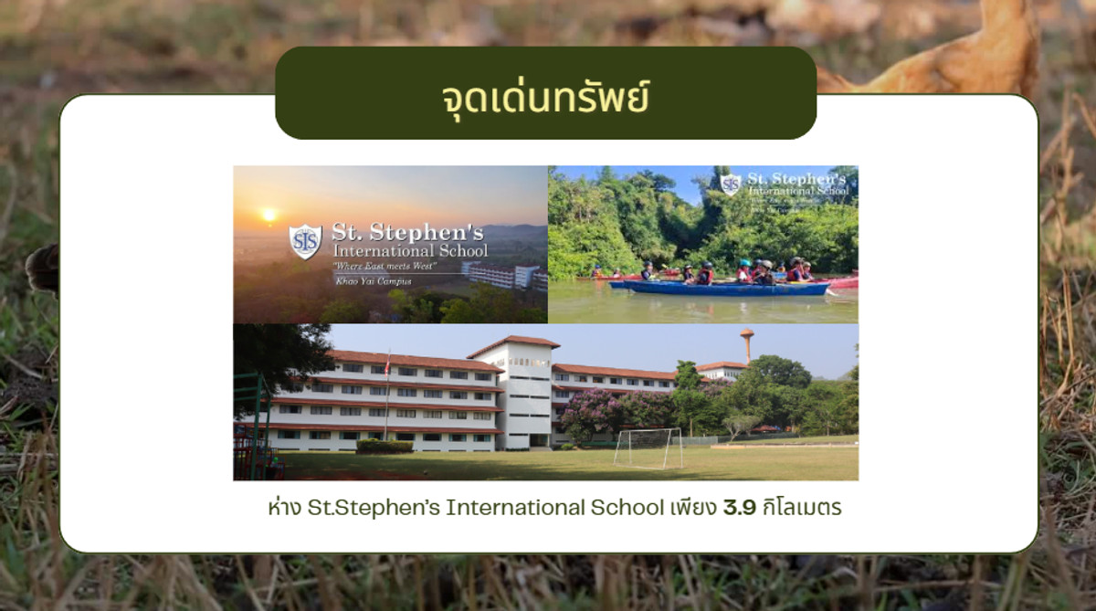 For SaleLandPak Chong KhaoYai : Land for sale in Pak Chong, Thanarat Road, front next to the road, width 258 meters.